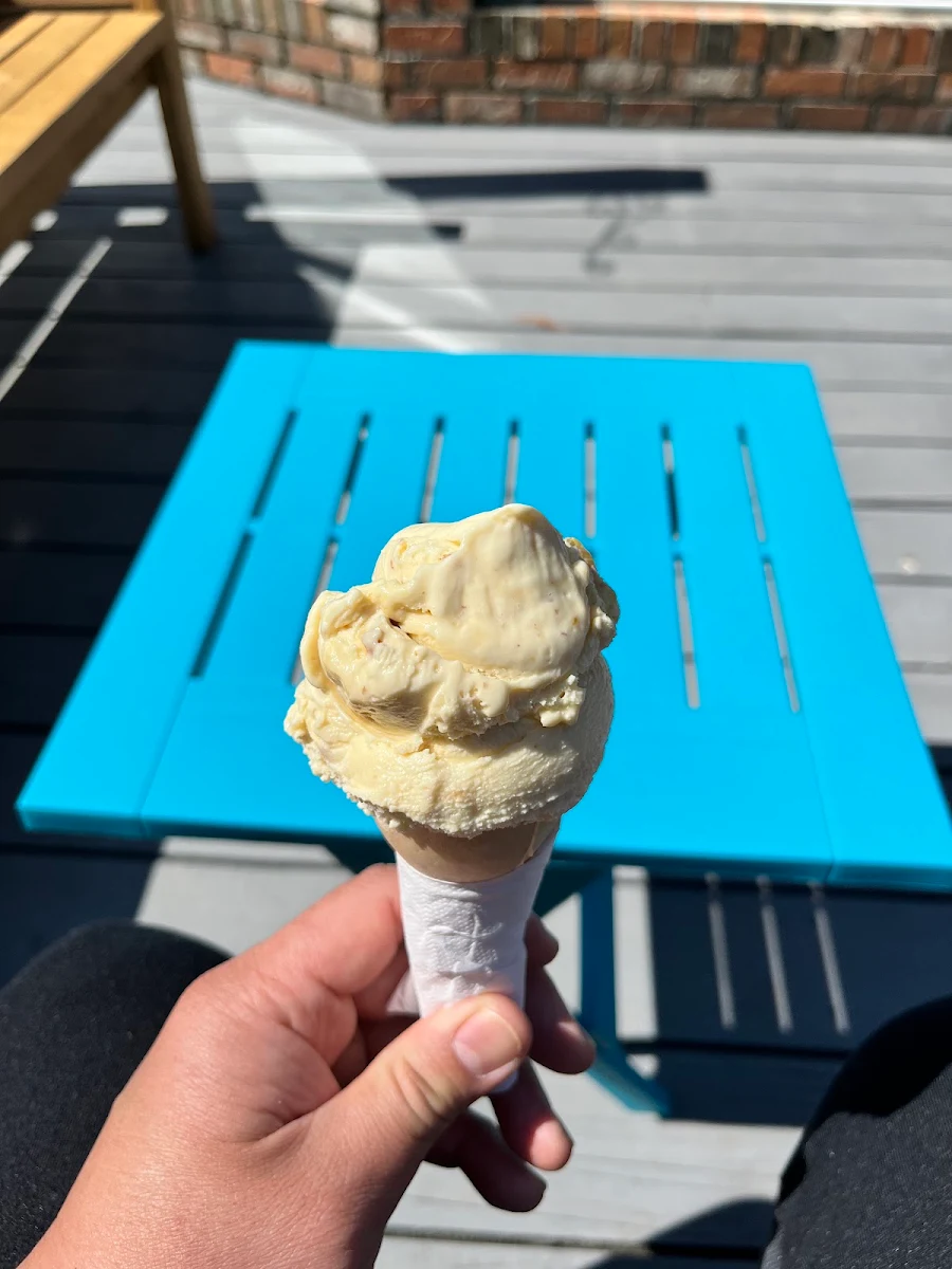 Rum Raisin