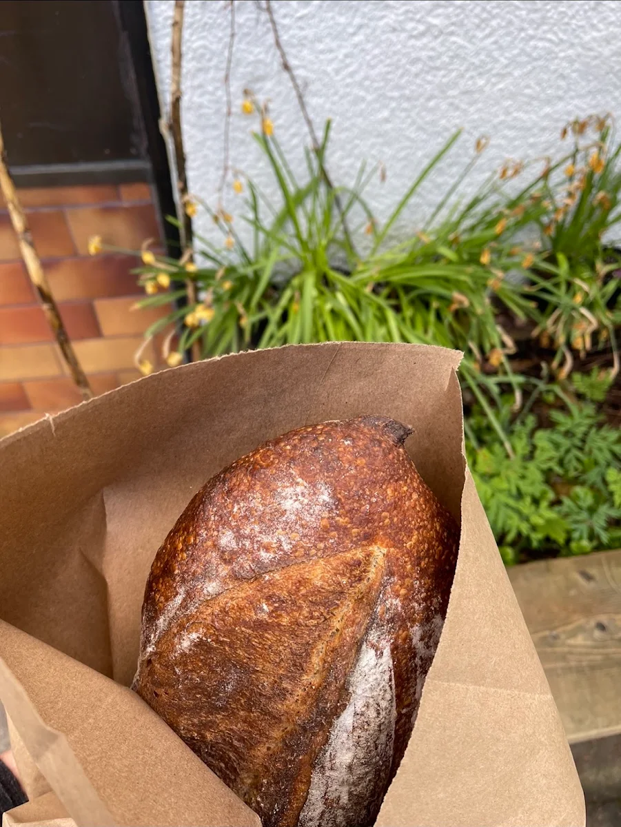 Sourdough Bread