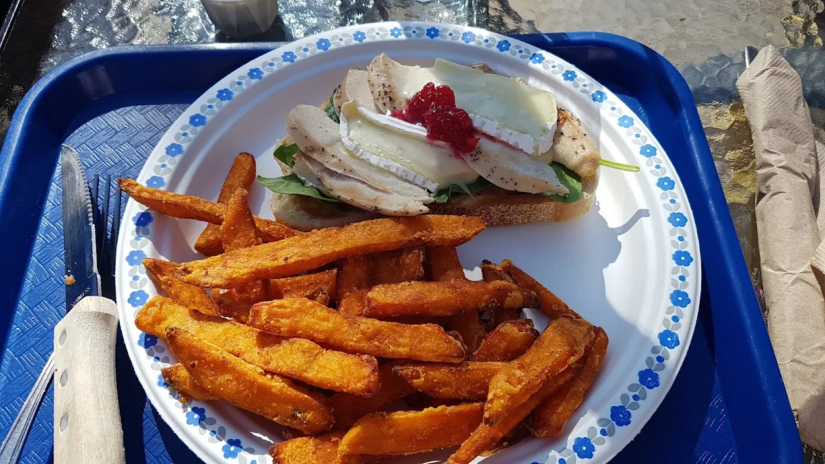 Chicken and Brie Sandwich with Sweet Potato Fries