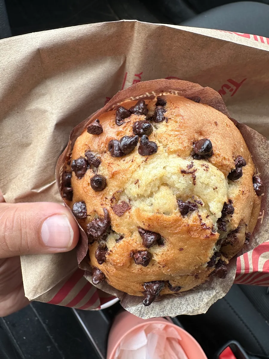 Chocolate Chip Muffin