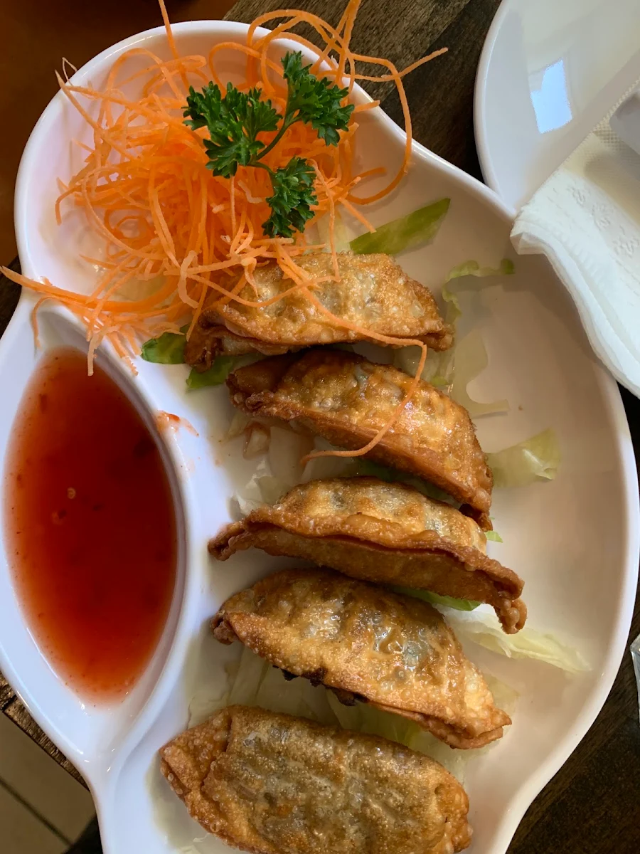 E Gyozas Frits 6 E Fried Gyoza 6