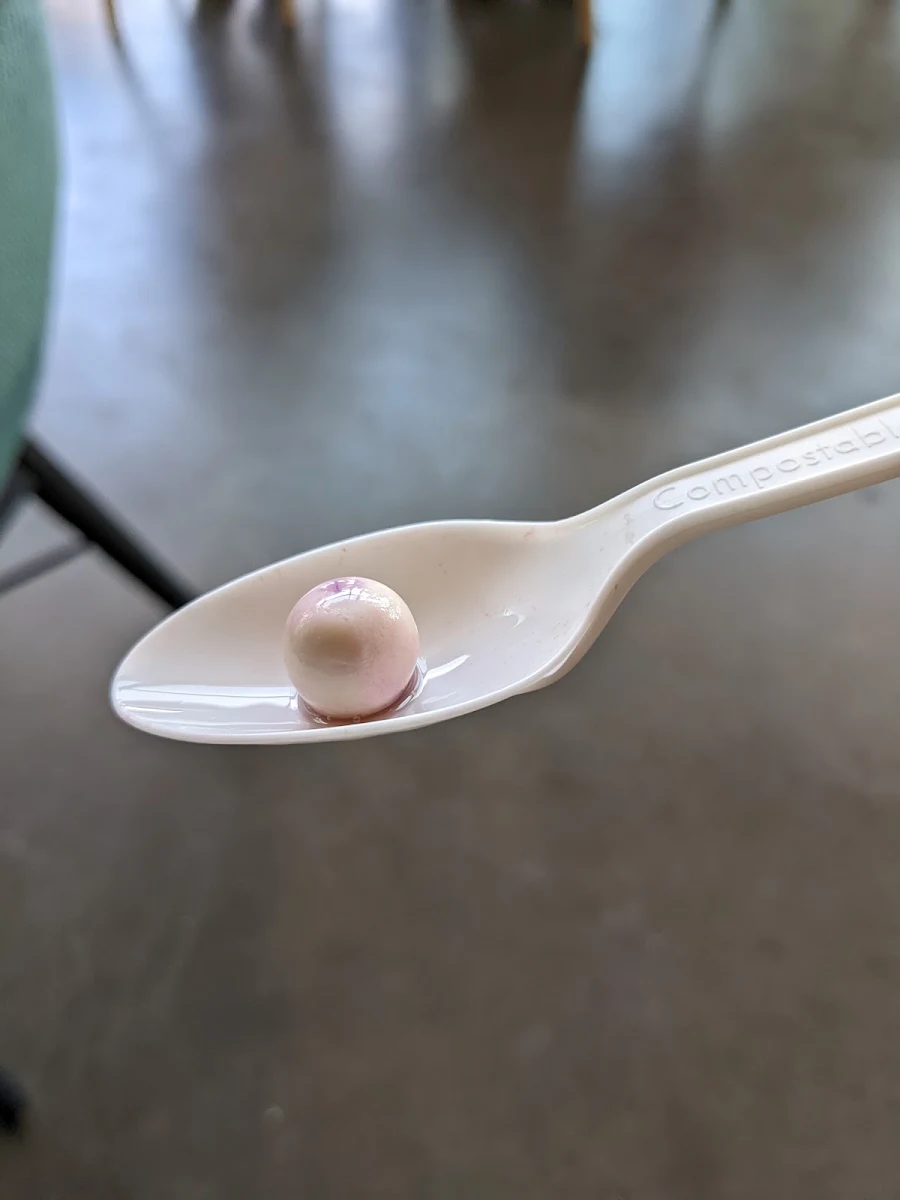 Bubble Gum