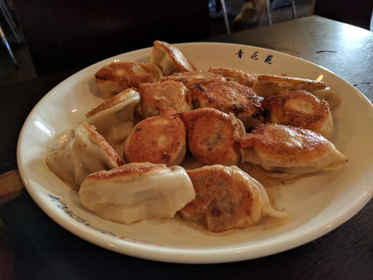 Pan Fried Dumpling