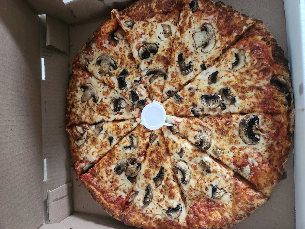 Mushroom Pizza