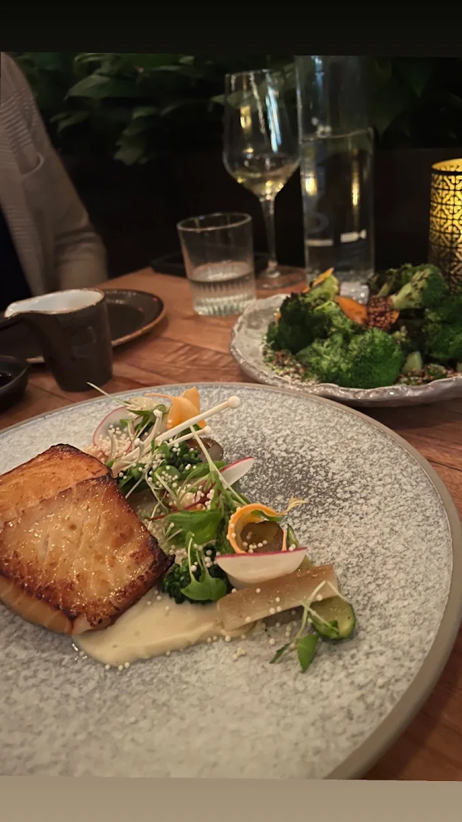 Black Cod