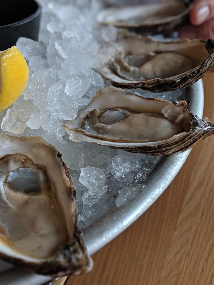 Huîtres Oysters Sashimi & Charcuterie