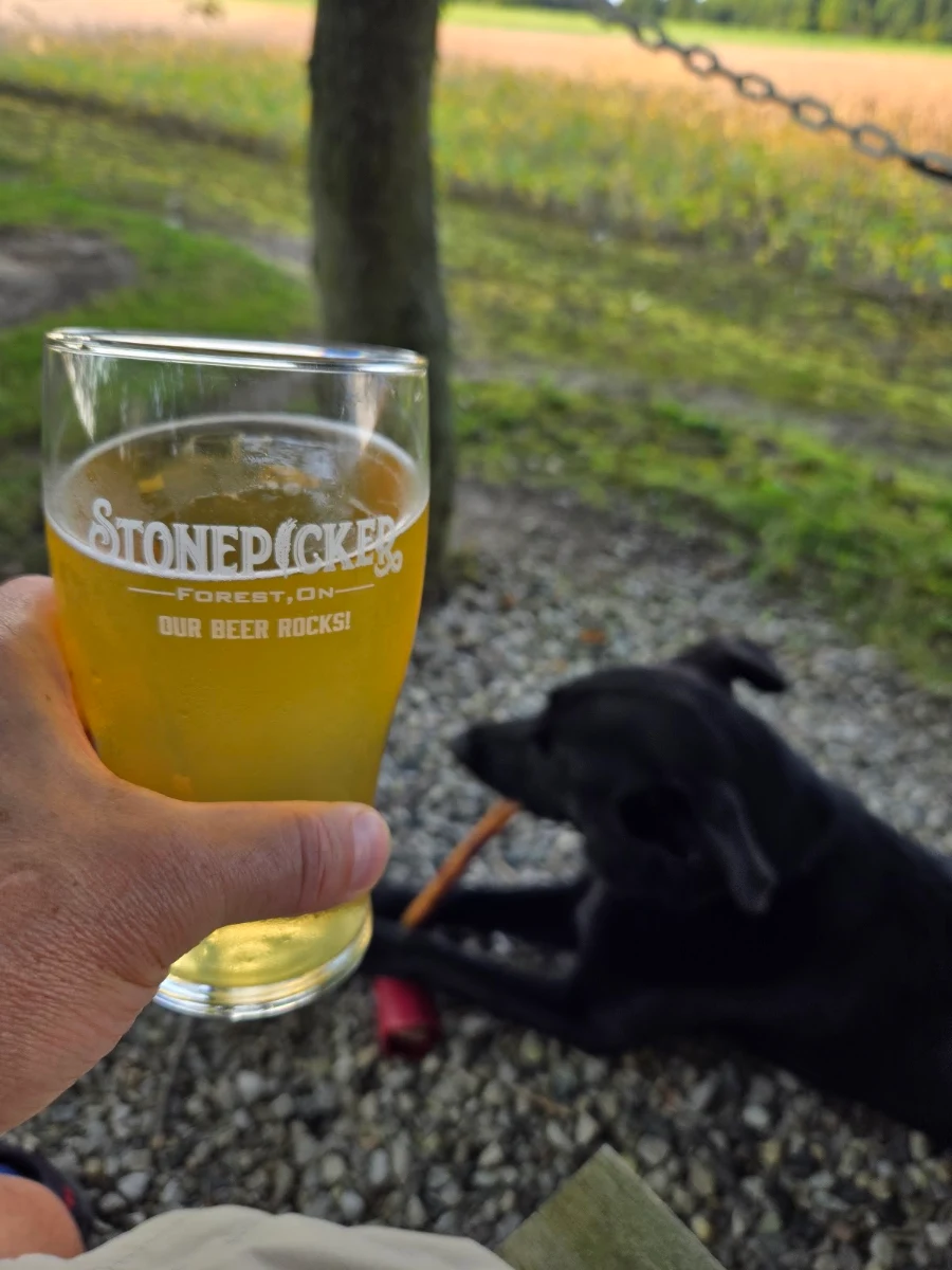 Blonde Ale