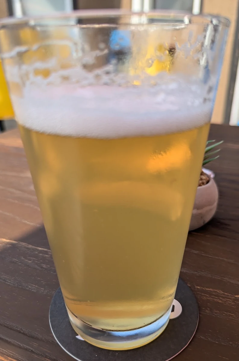 Non Alcoholic Beer