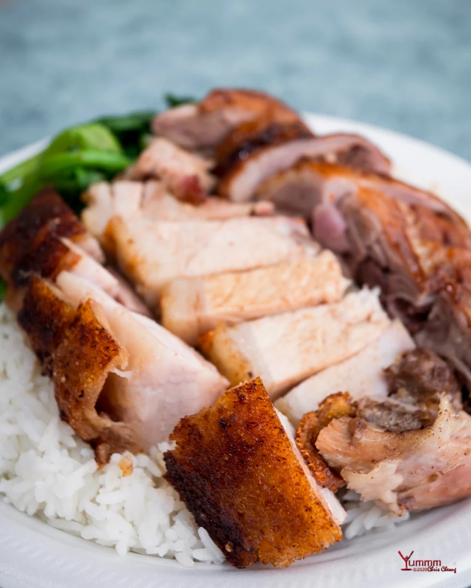 Roasted Pork and BBQ Duck