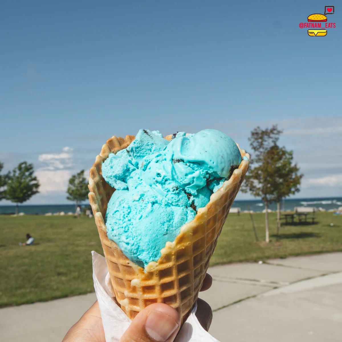 Instagram Fatnam Eats Cookie Monster Ice Cream
