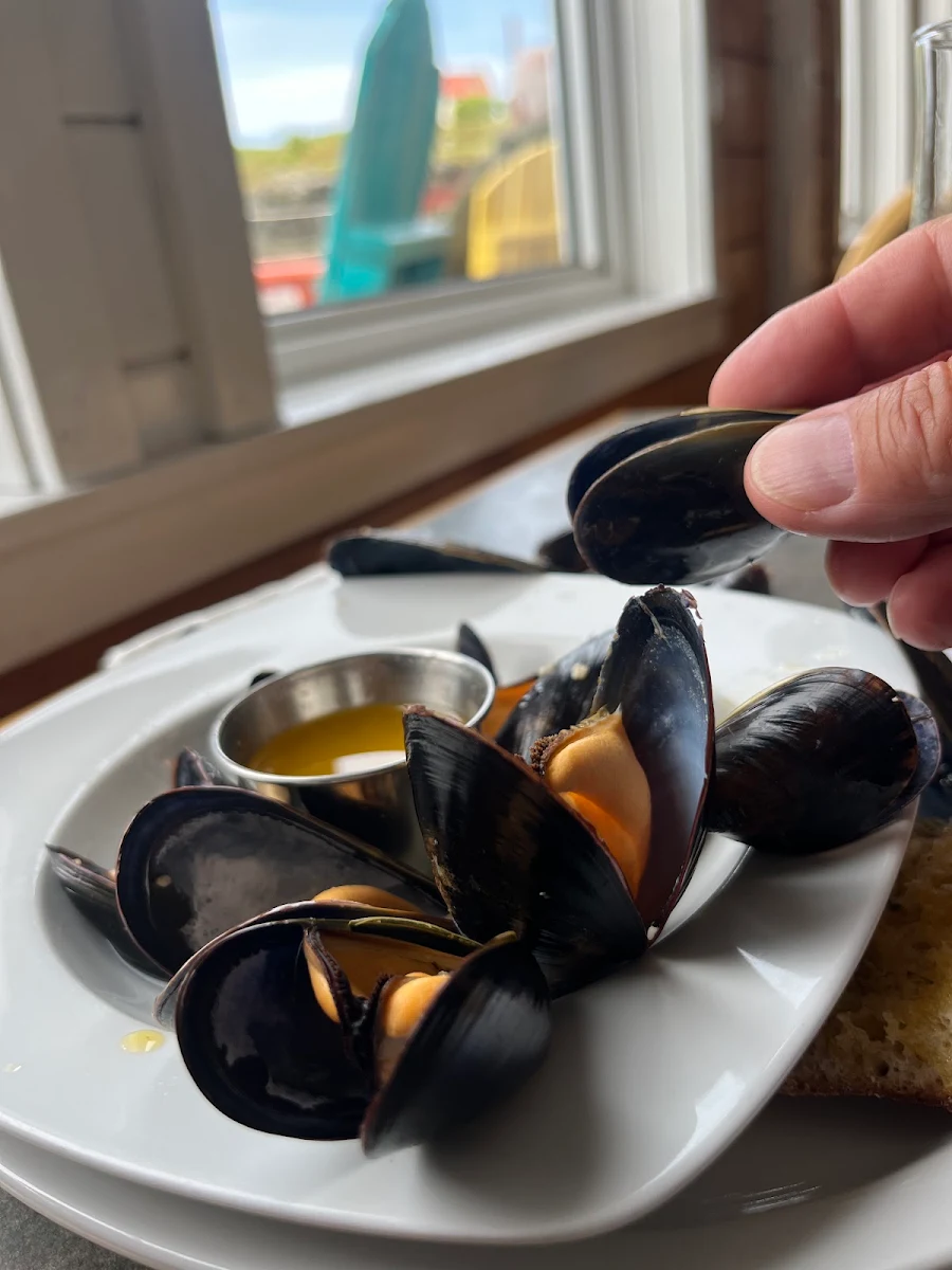 Atlantic Mussels