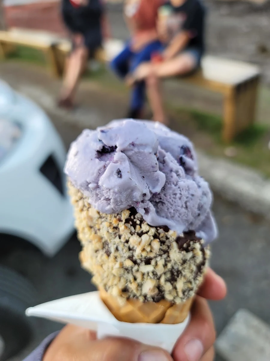 Blueberry Lavender Ice Cream Cone