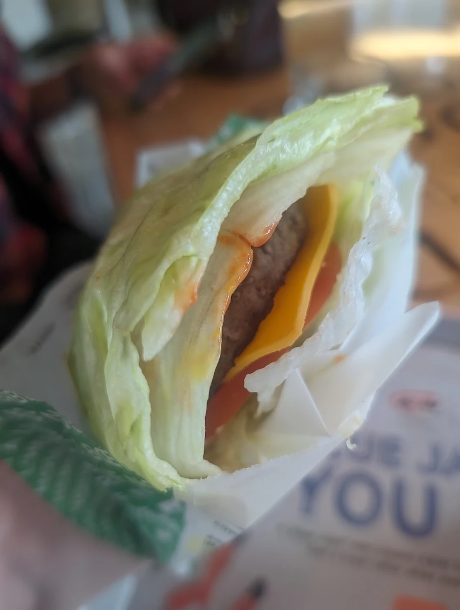 Teen Burger Lettuce Wrap