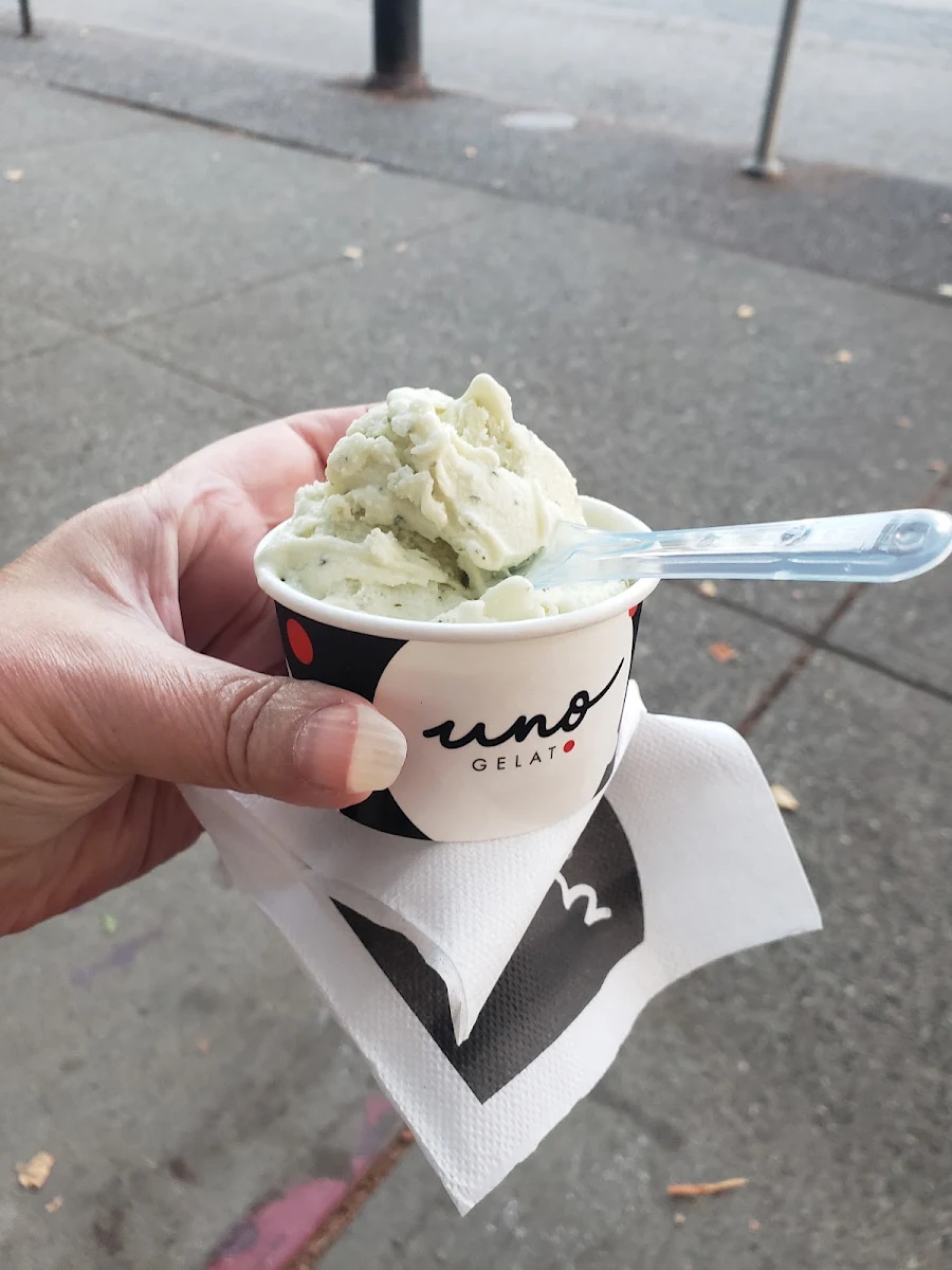 Mint Chocolate Gelato