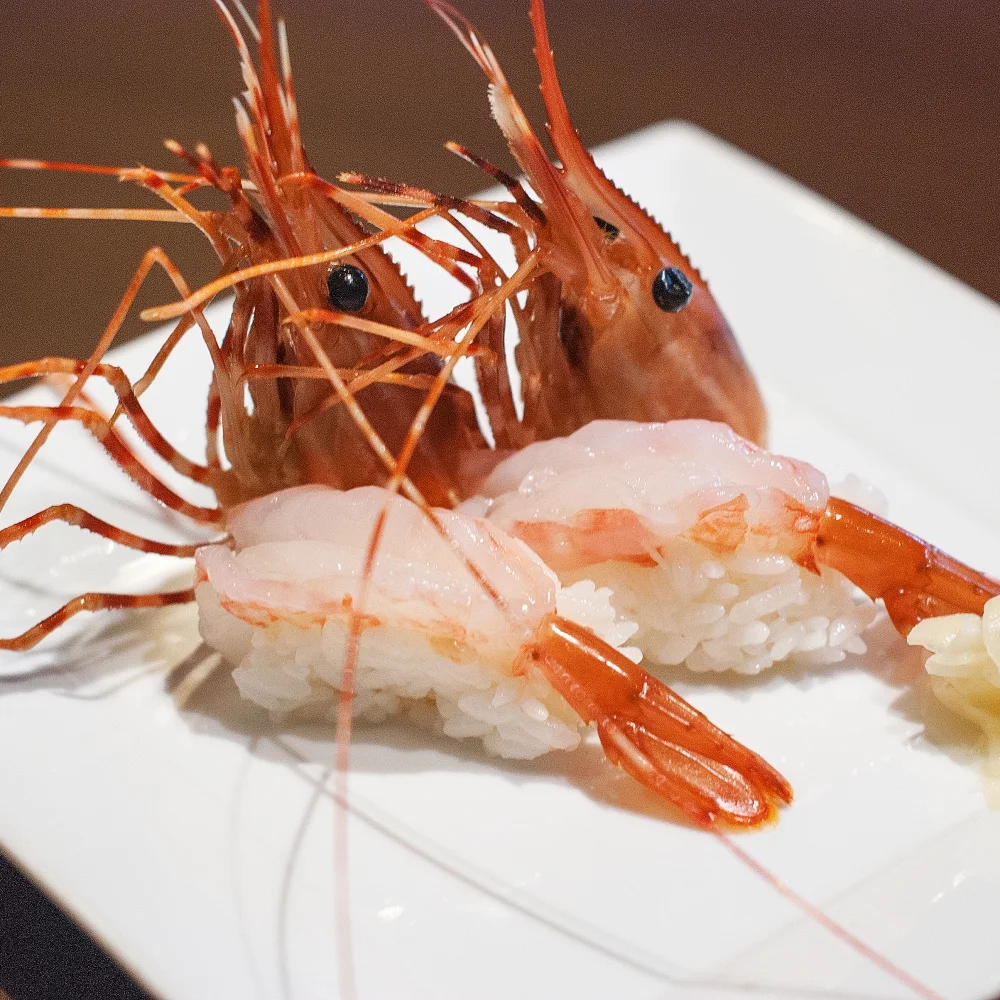 Prawn EBI Nigiri Sushi