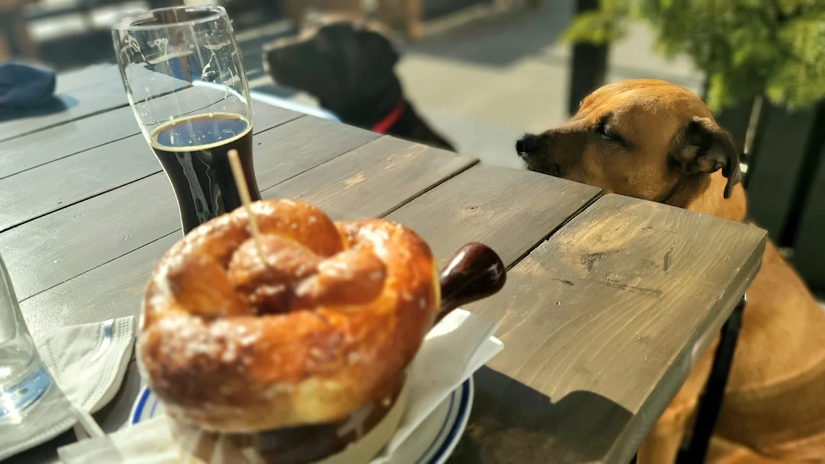 Pretzel and Beer Cheese