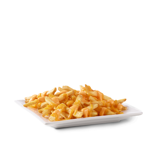 CEI Cheese Fries