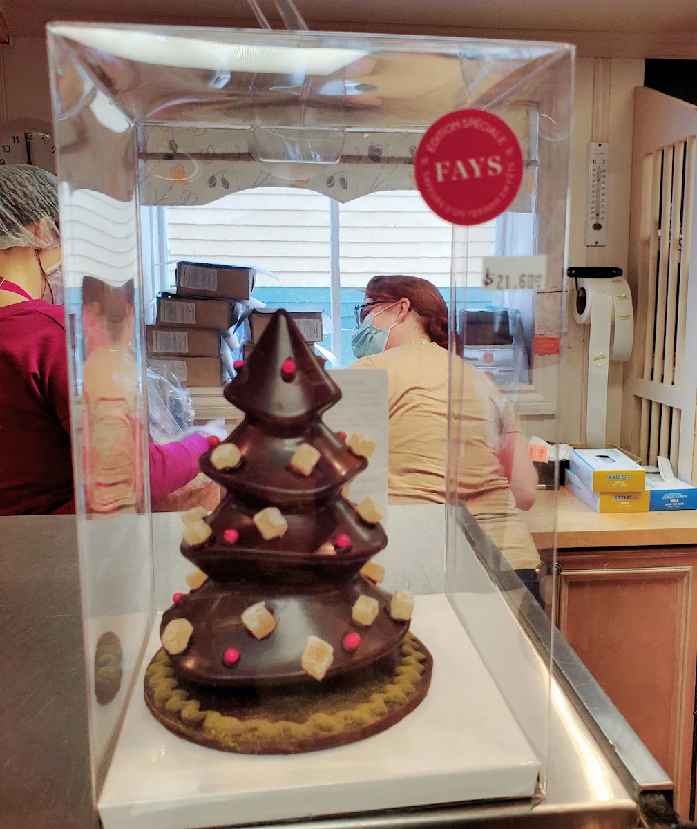 Fe Chocolate Tree