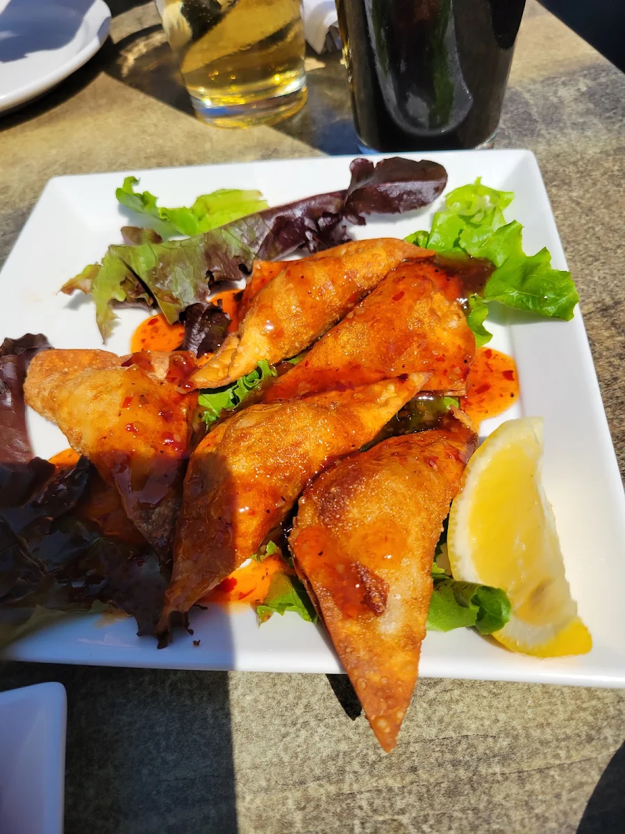 Crispy Wonton Nachos