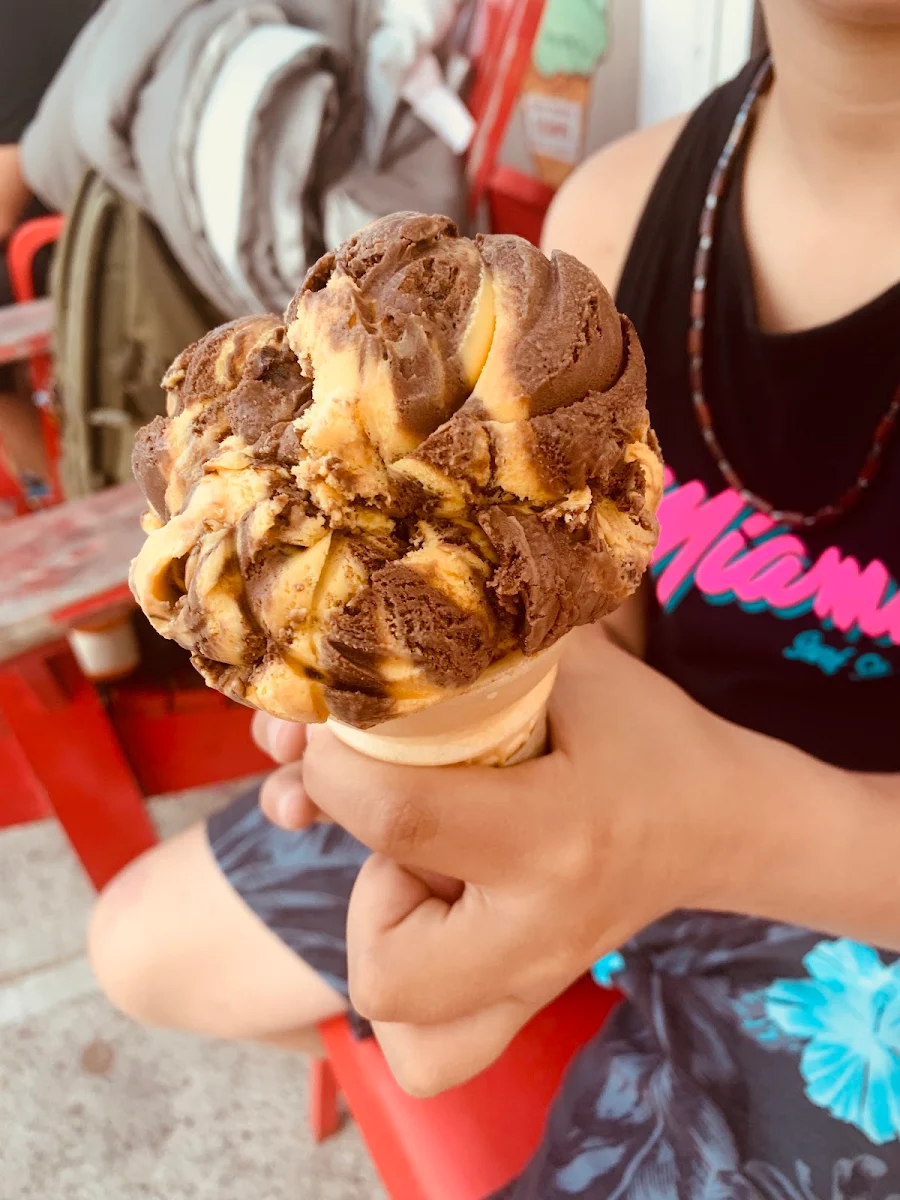 Peanut Butter Swirl Ice Cream