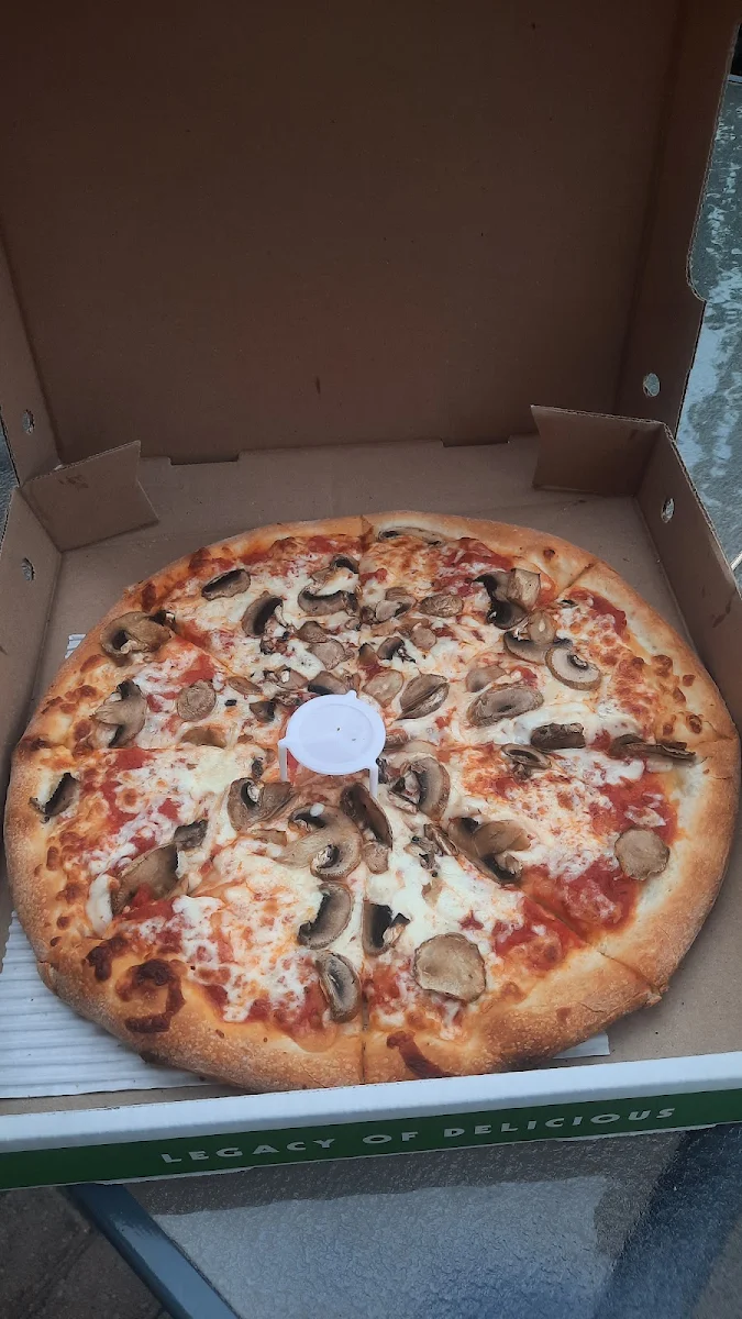 Mushroom Pizza