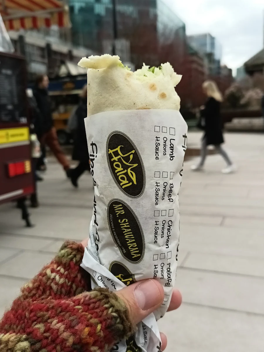 Falafel Grilled Pita Wrap