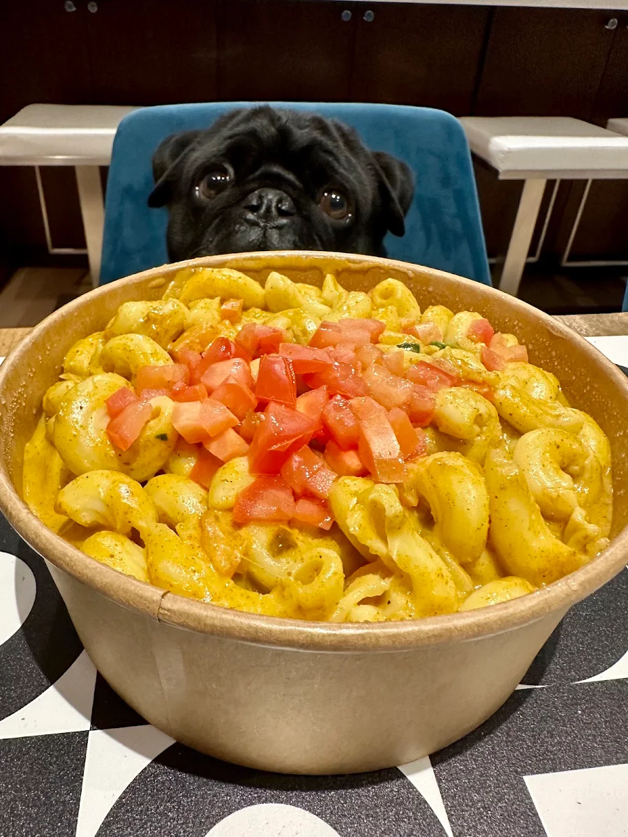 Bombay Mac & Cheese Box