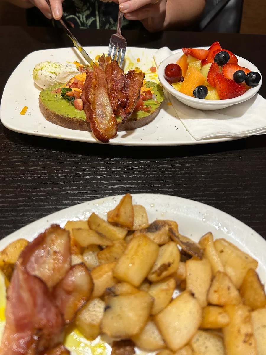 Starting Light & Egg Benedict’S & Avocado Toast