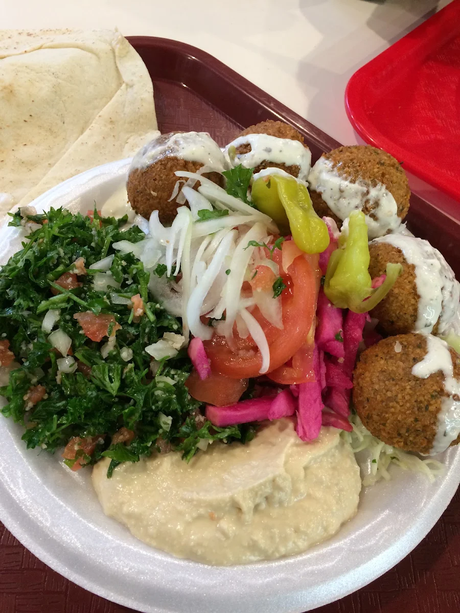 Falafel Plate