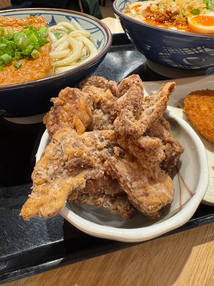 Chicken Katsu Curry Udon Online