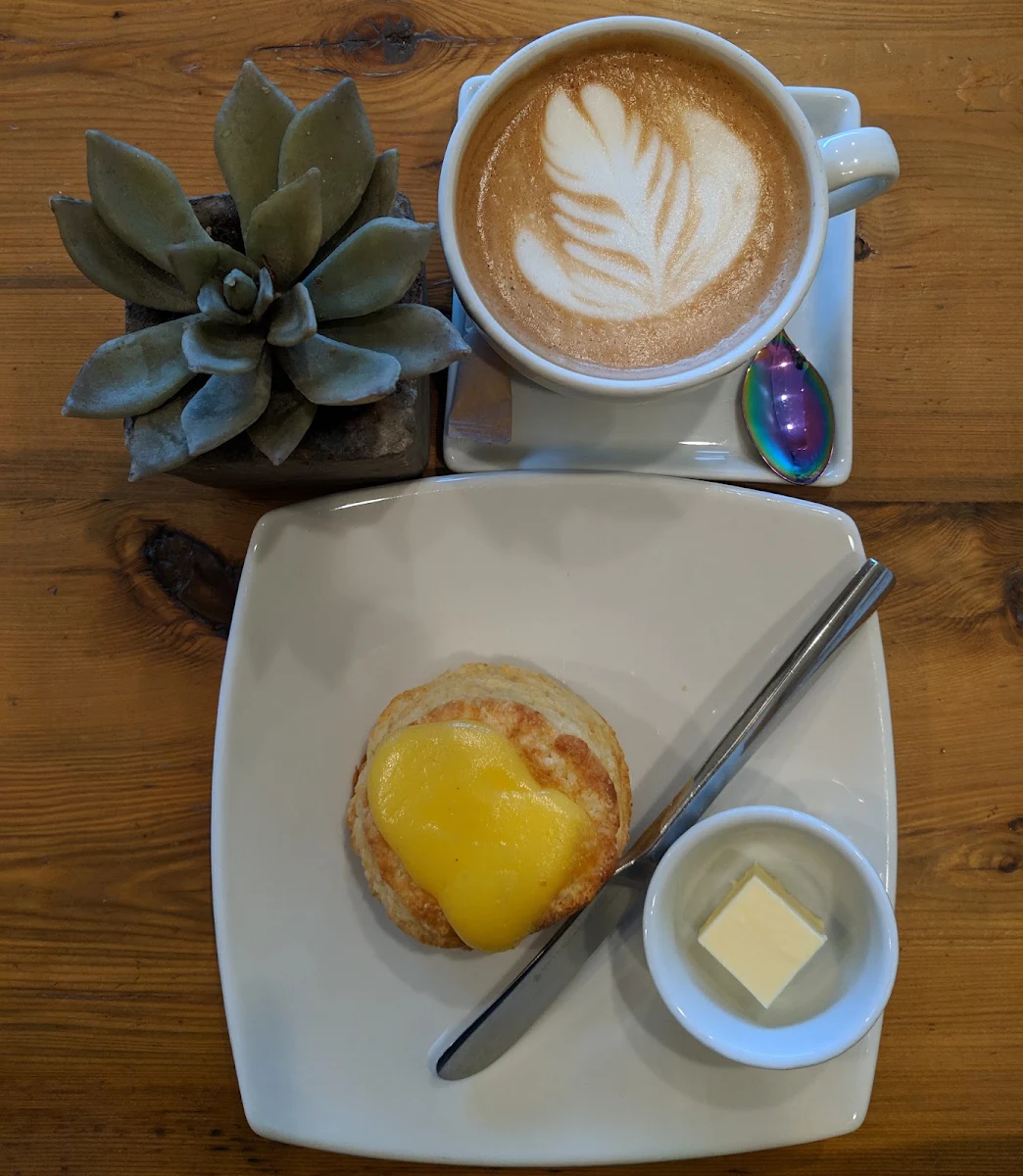 Lemon Curd Scone & a Cortado