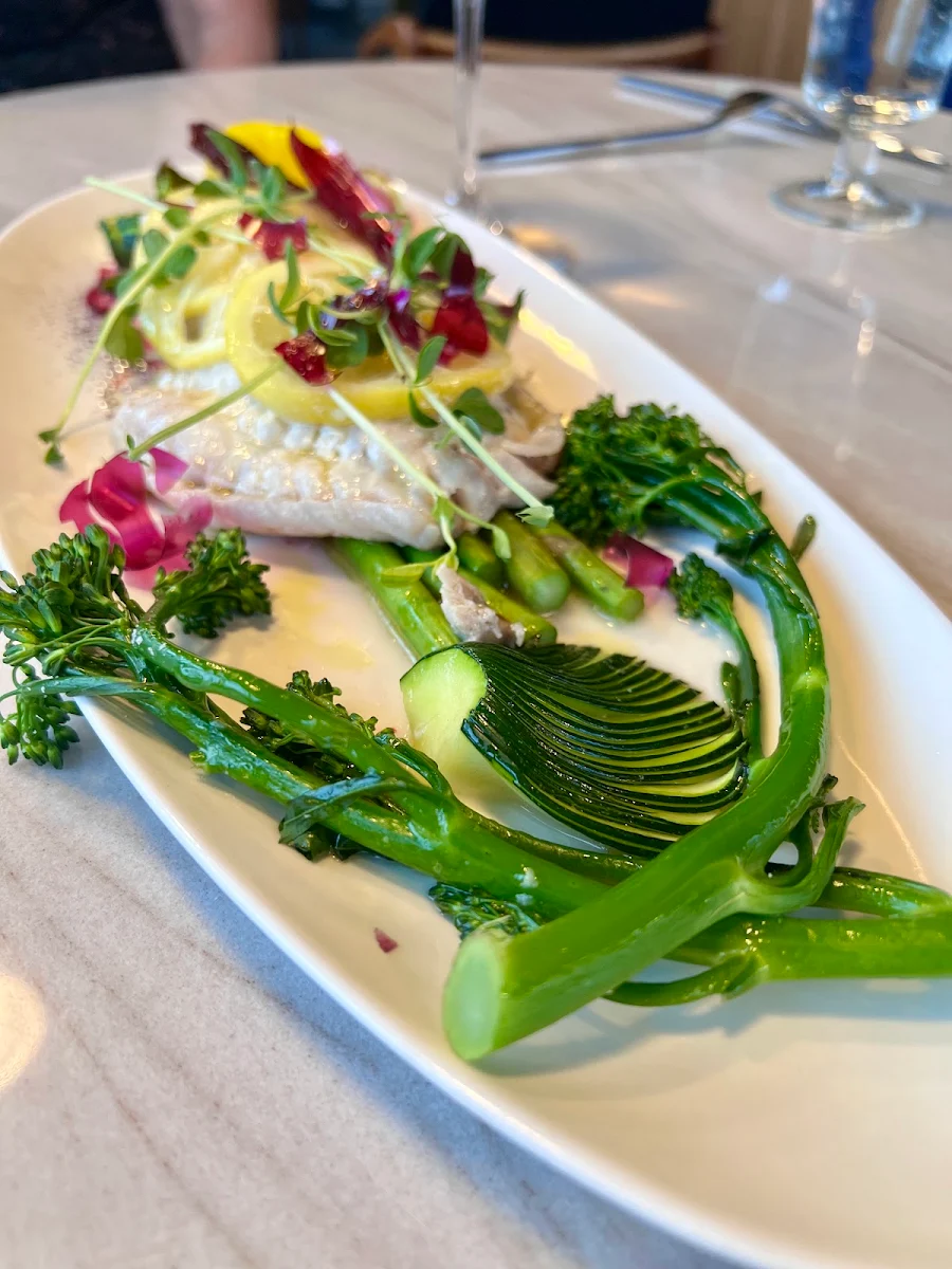 Red Snapper