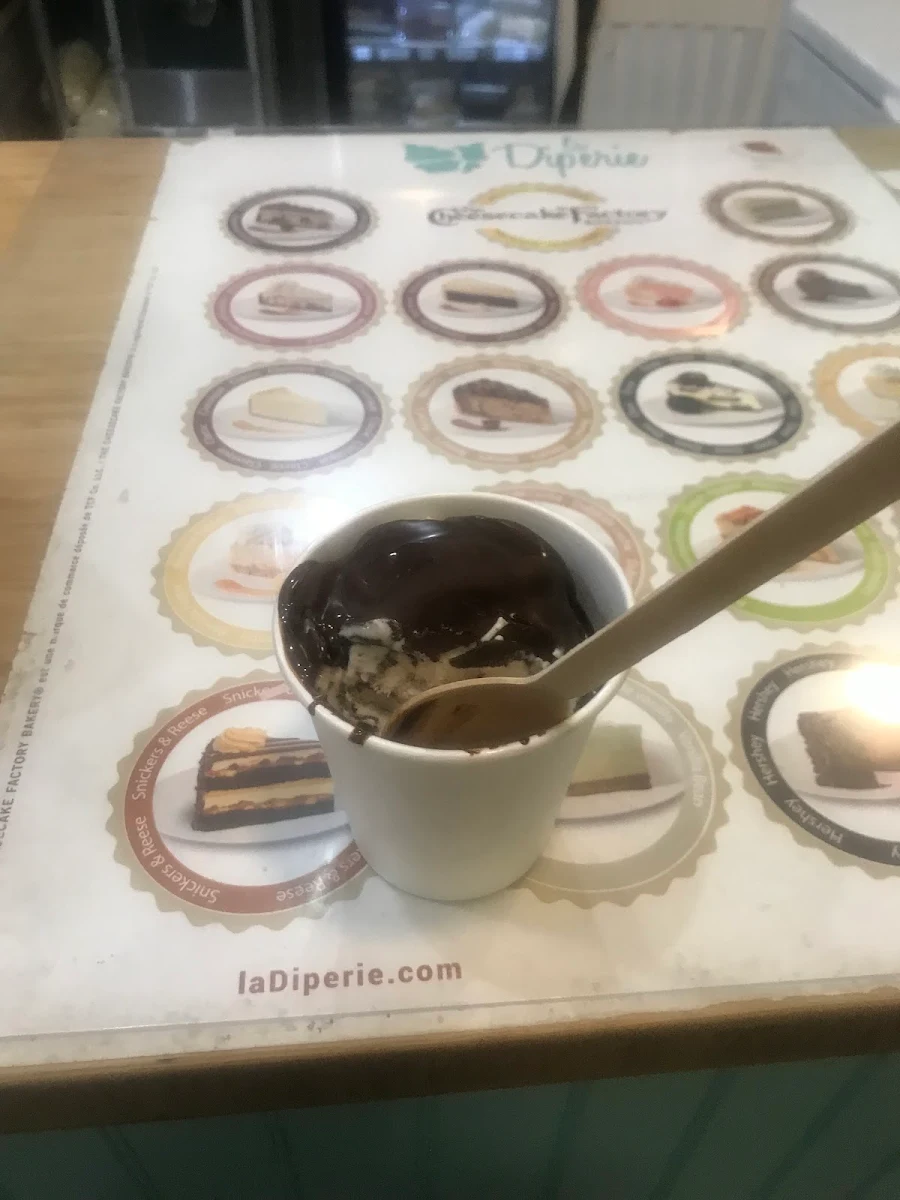 Two Scoop Ice Cream with Dark Chocolate Sauce