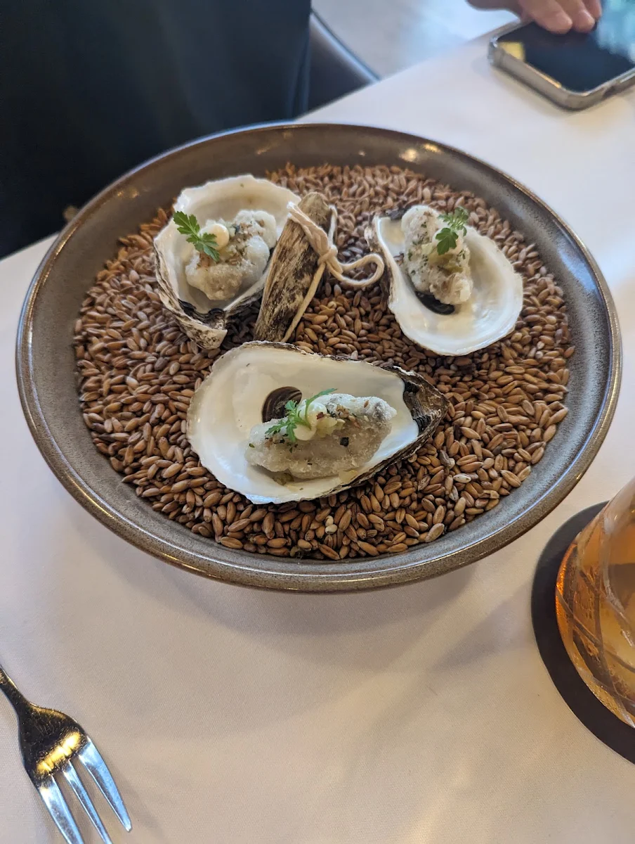 Fresh Oysters on Crushed Ice