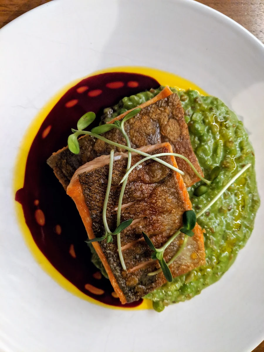 Steelhead Trout