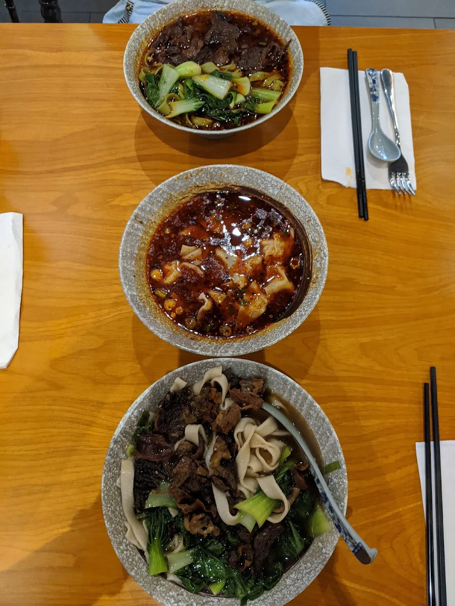 Hand Made Noodles with Beef and Szechuan Wonton