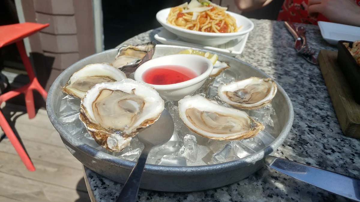 Fresh Oysters
