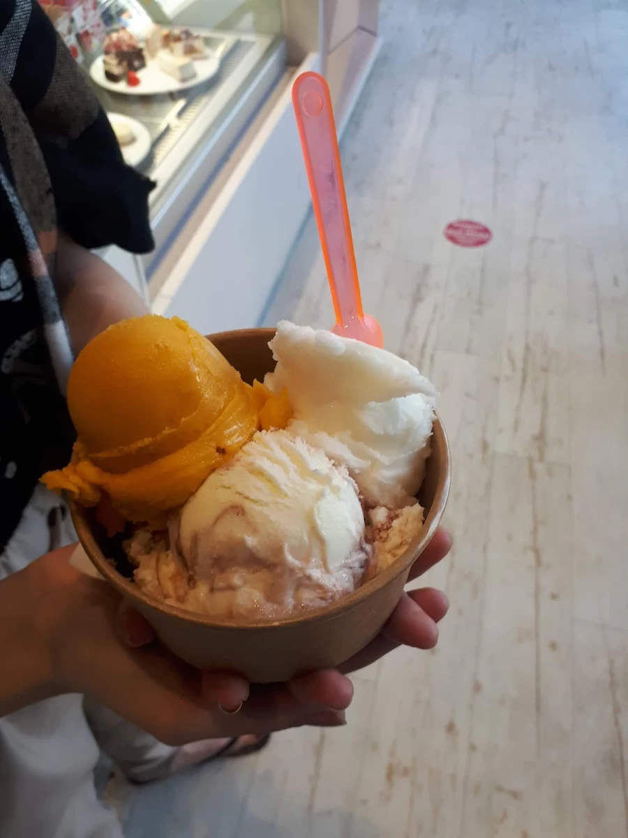 Gelato Mangue Citron Fromage