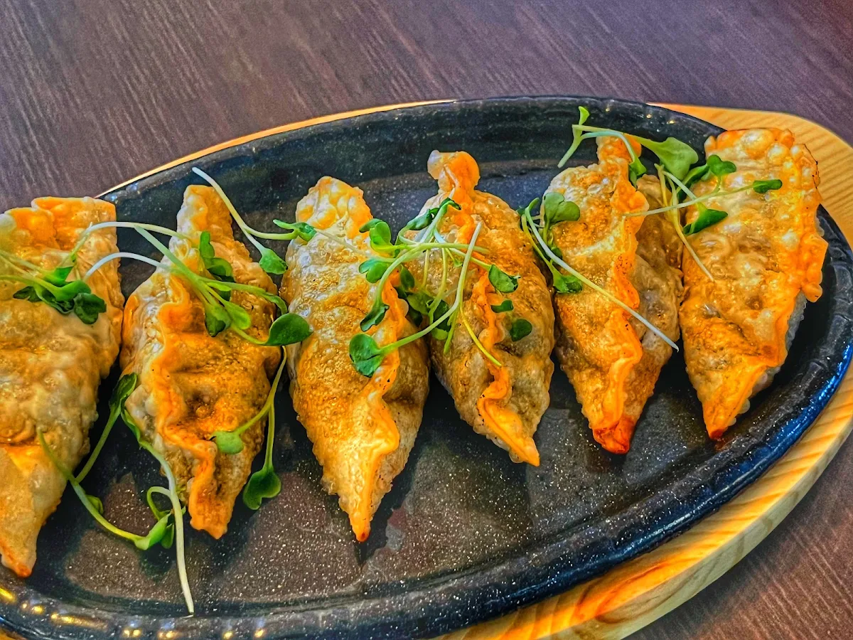 Fried Mandu