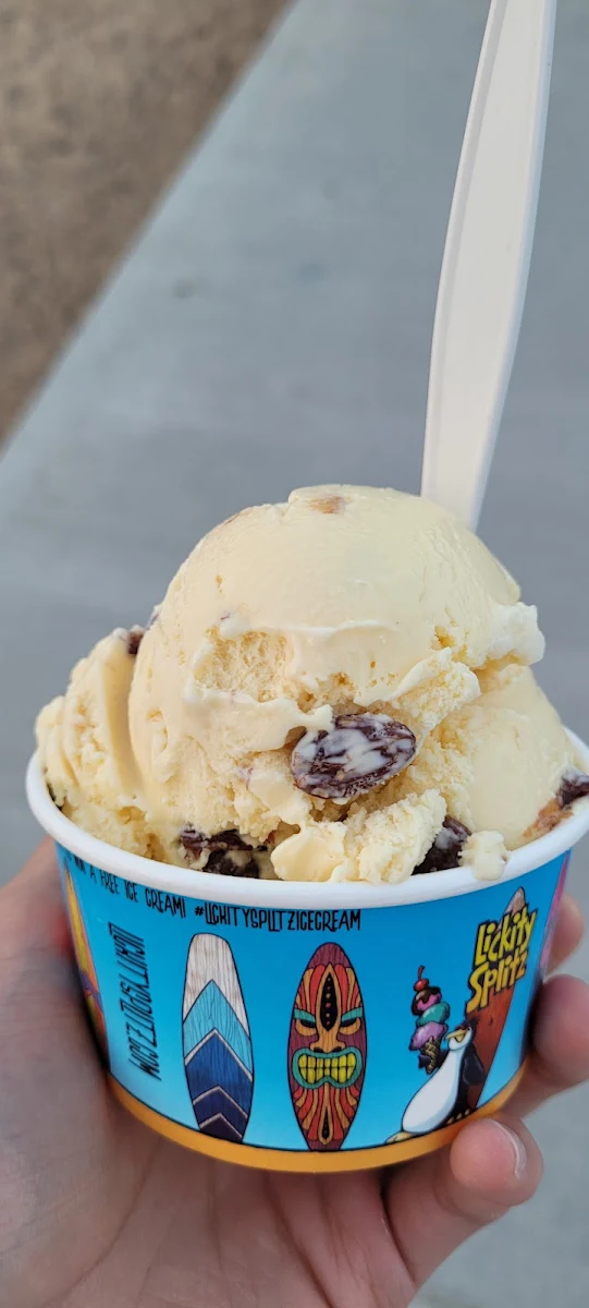 Rum Raisin Ice Cream