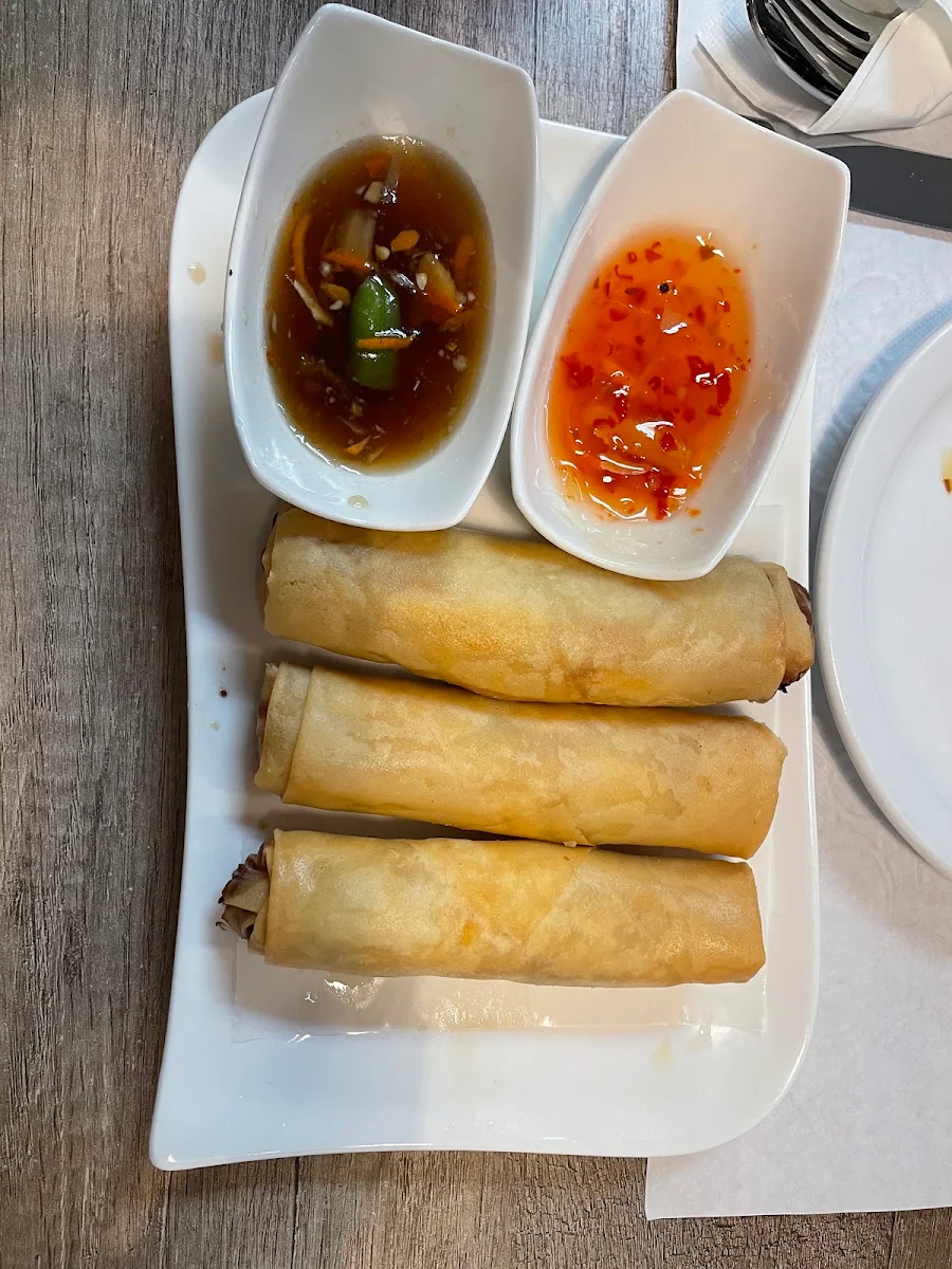 Vegetable Spring Rolls