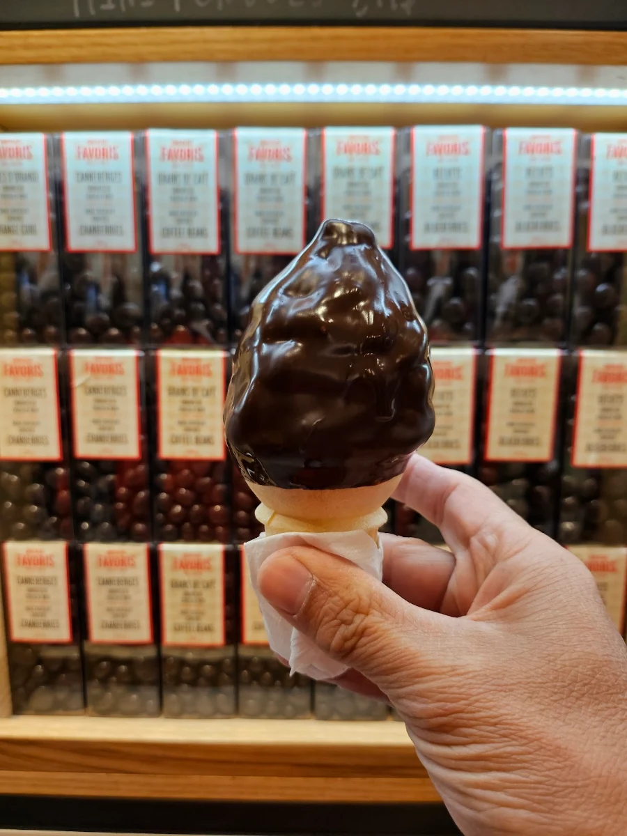 Ice Cream Dipped with Dark Chocolate
