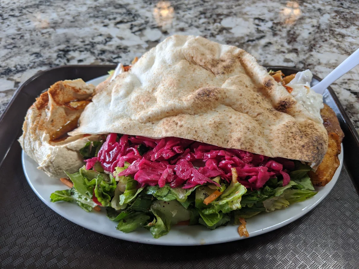 Chicken Shawarma Plate