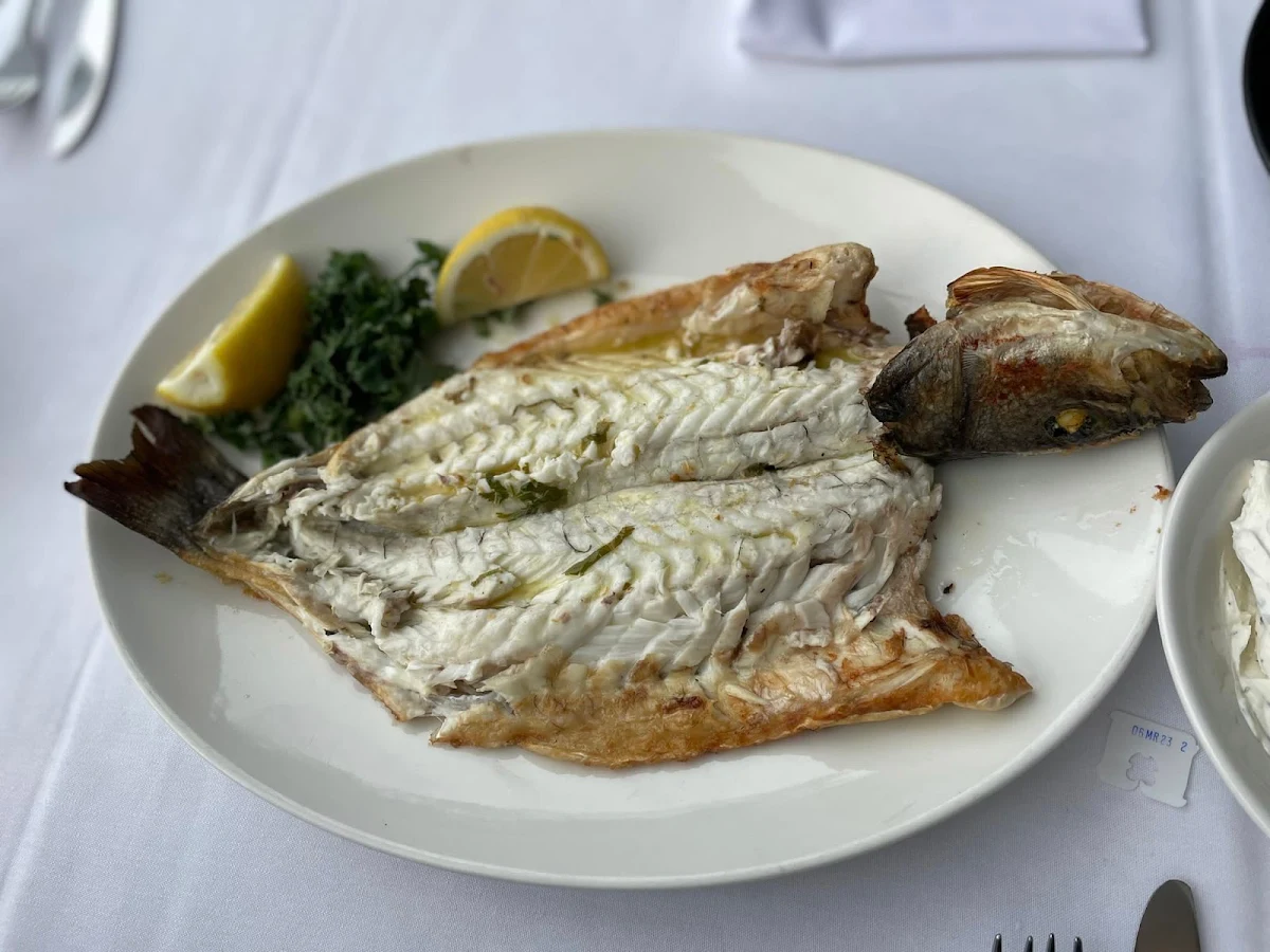 Sea Bass