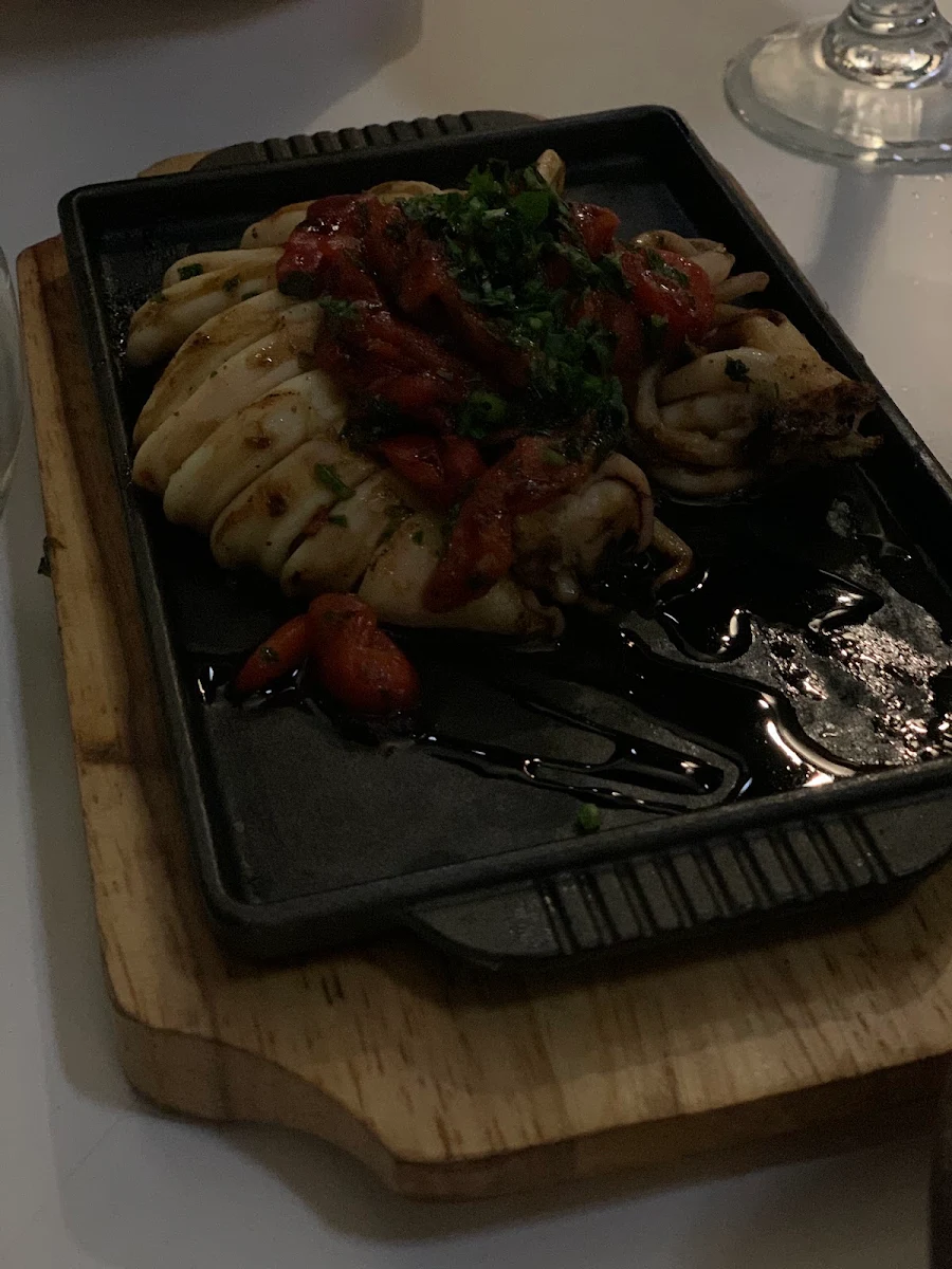 Grilled Calamari