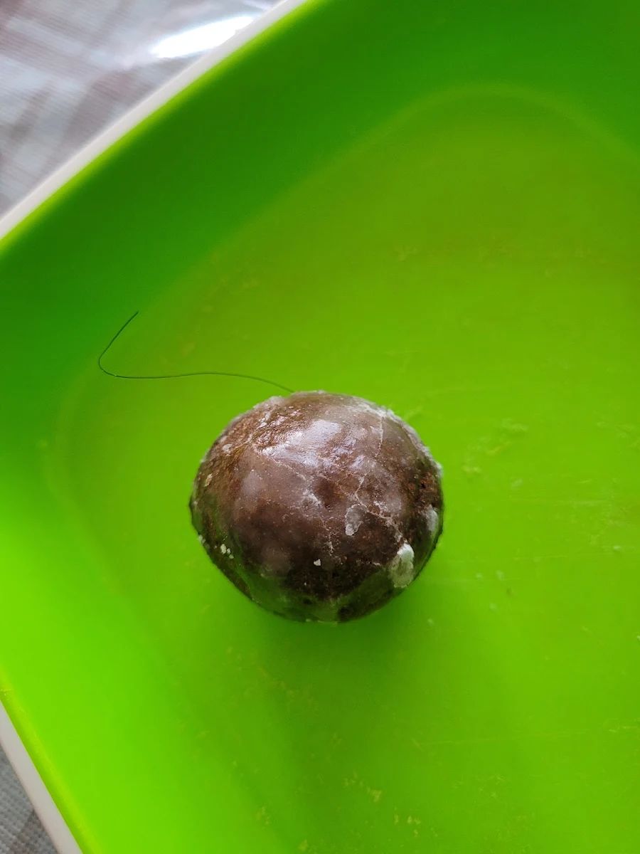 Chocolate Timbit with Baked with a Strand of Hair