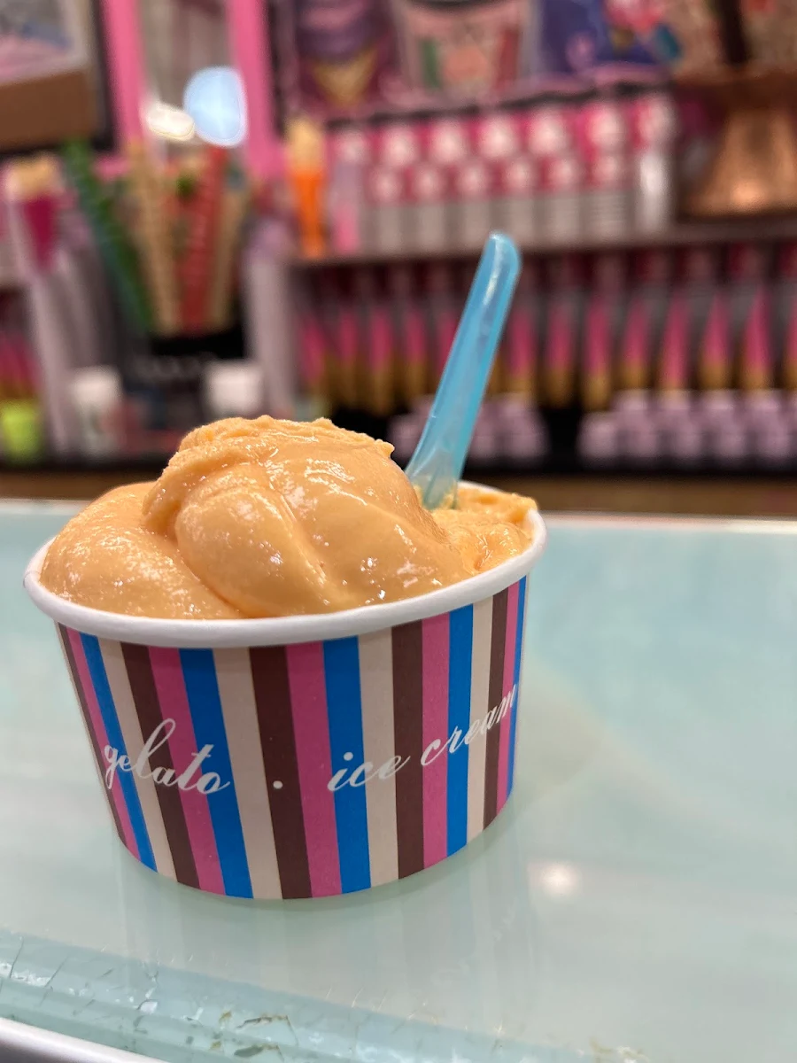 Orange Carrot Sorbet