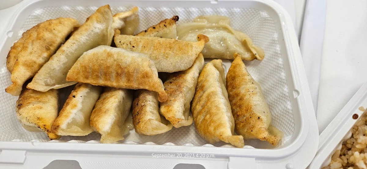 Chicken Dumplings