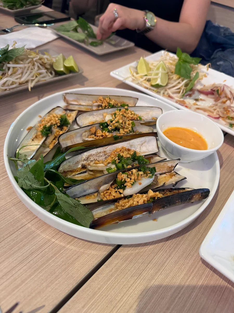 Razor Clam