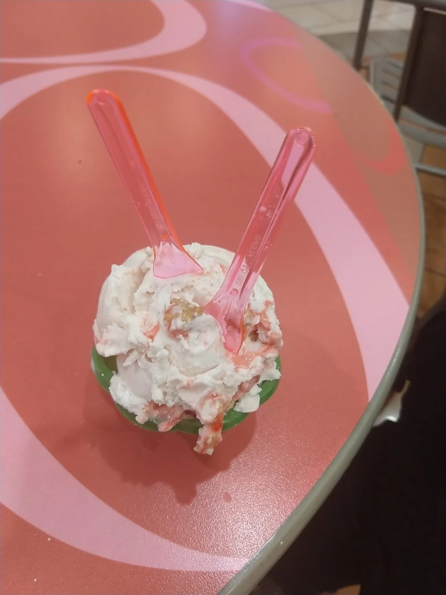 Vanilla Ice Cream